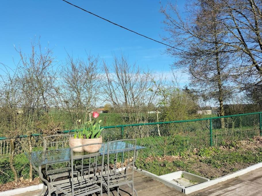 Lessines Gite Rural La Ferme Du Semeur-Zaaiershof מראה חיצוני תמונה